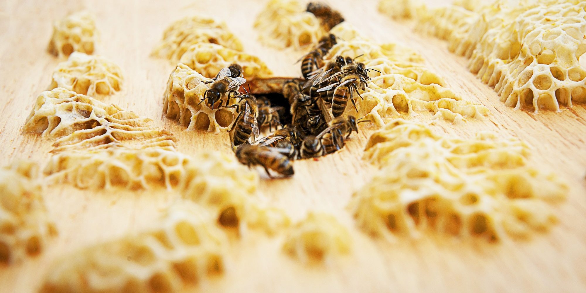 Rolls-Royce entre flores e abelhas