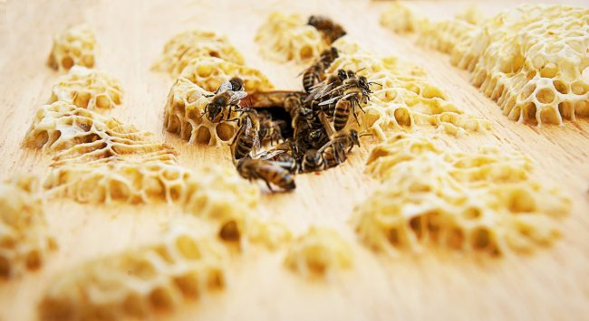 Rolls-Royce entre flores e abelhas