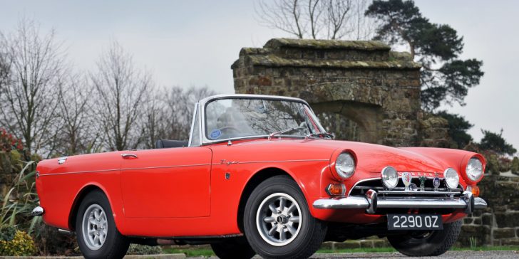 16 carros com nomes de animais