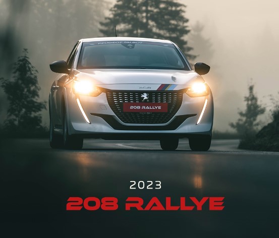 Peugeot 208 Rallye