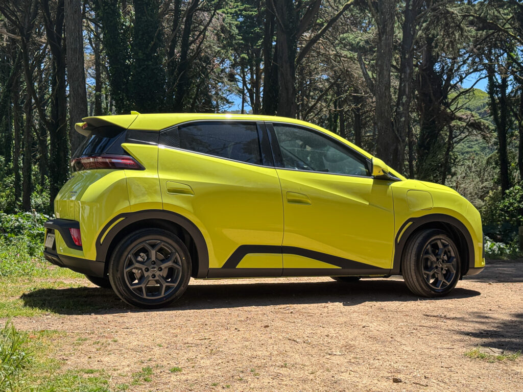 BYD Dolphin Surf